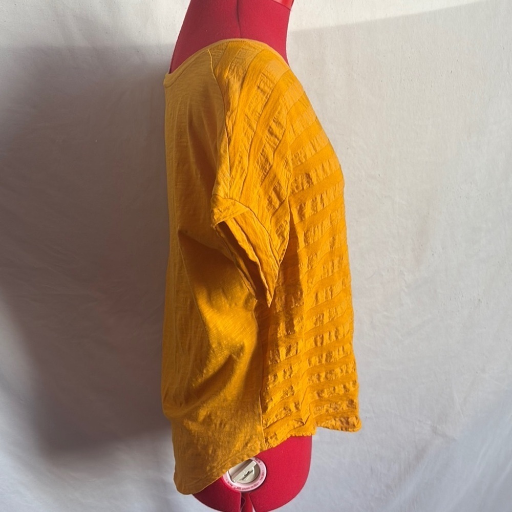 Cleo Gold Ribbed Short Sleeve Blouse SM356 - Picture 2 of 6